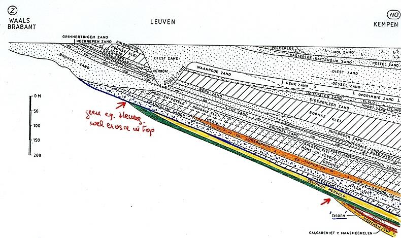 SELANDIAN - Transgressief glauconiet houdend zand (Orp Zand) met erboven Gelinden mergels (Heers Fm versus Heersian!