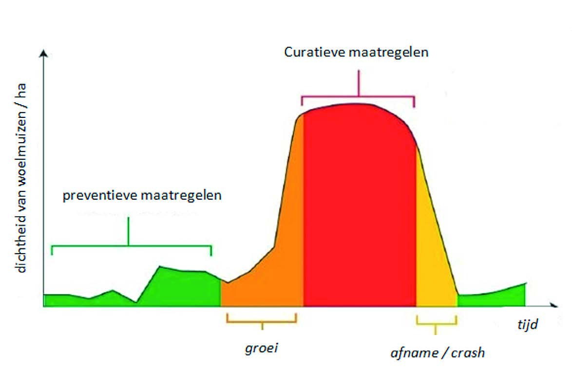 Najaar : September/oktober Het hoogste aantal veldmuizen wordt bereikt in september-oktober, wanneer generatie op generatie aan die voortplanting deelneemt.