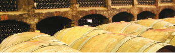 AANBIEDING: Om de laagste prijs te verkrijgen kunt u alle wijnen uit dit journaal met elkaar combineren. Prijs per fles bij afname van 1-23 fl. 24-47 fl. 48-71 fl. v.a. 72 fl Famille Fezas - Gascogne Domaine Brichot Expression Blanc 2015 6.