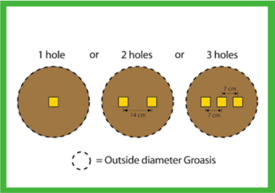 Opmerking voor gebruikers van compost/kunstmest: De plantgaten mogen niet dieper gegraven worden dan de laag compost of