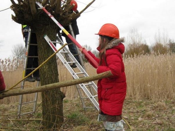 2.5 Toezicht Toezicht houden op de uit te voeren werkzaamheden is bedoeld om onveilige en ongewenste situaties tijdig te voorkomen.