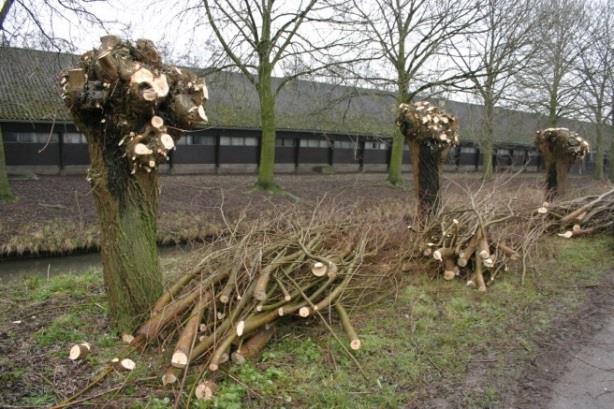 Hoofdstuk 3 Veiligheidsinformatiebladen risicovolle werkzaamheden Vrijwilligers voeren steeds vaker en zelfstandiger risicovolle werkzaamheden uit.