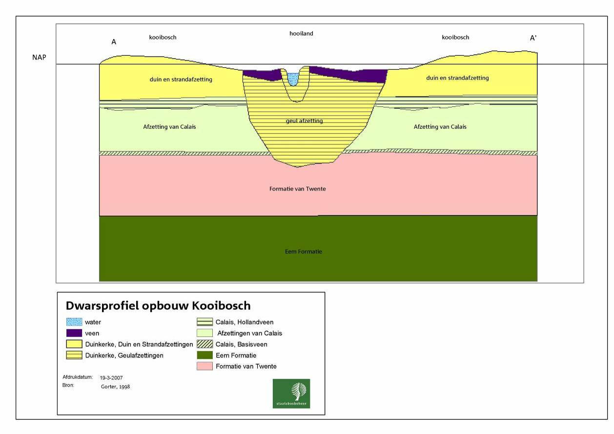 Figuur 3-3. Doorsnede geulafzetting centrale hooiland, naar Gorter, 1998, uit: Wondergem, 2008. Het Kooibosch is grotendeels geclassificeerd als kalkloze Vlakvaaggrond (Zn30) in grof zand.