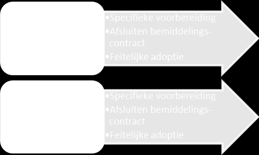 390 (2014-2015) Nr. 1 17 in een bezwaarprocedure bij de Vlaamse adoptieambtenaar.