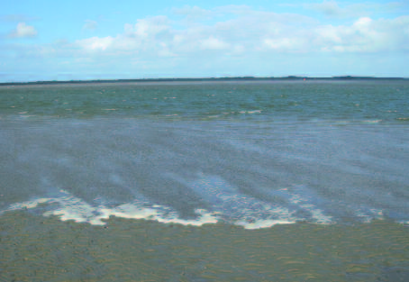 6 netwerk langs de Waddenkust van Groningen, Fryslân, de Kop van Noord- Holland en op de Waddeneilanden.