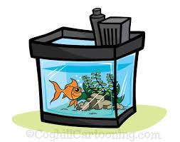 De aquariumliefhebber wordt dus in hoge mate beheerst door stress en argwaan.