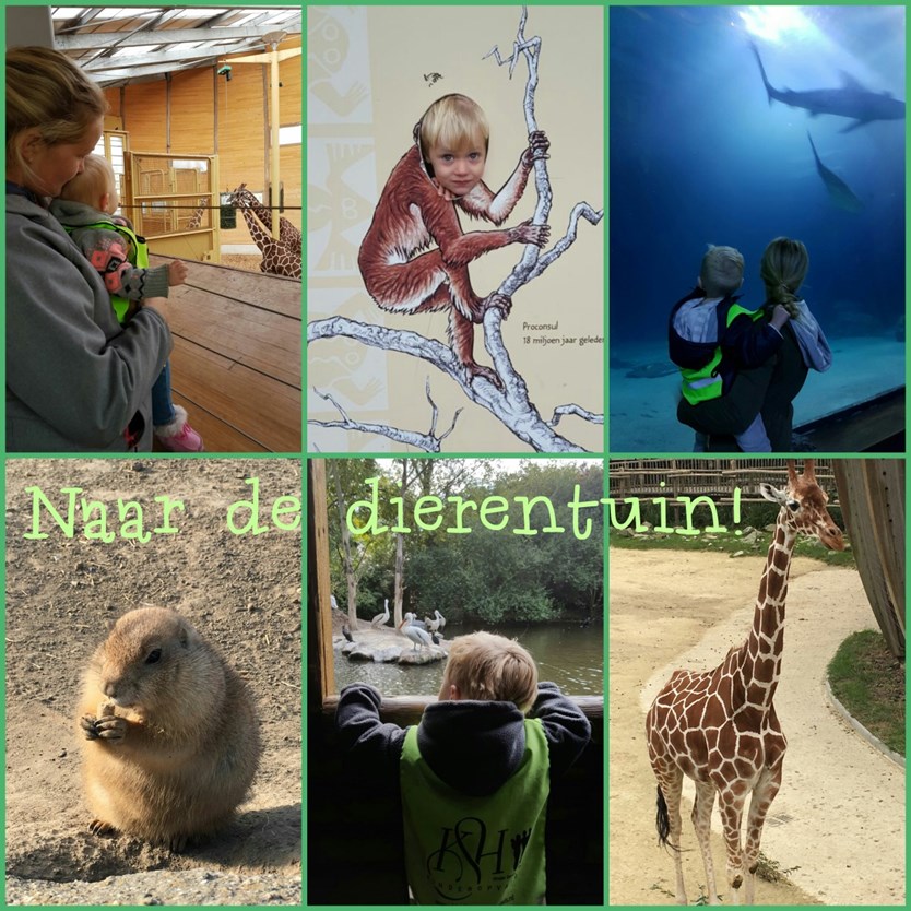 P A G I N A 7 Ter afsluiting van het thema onderwaterwereld zijn de kinderen van KSH KDV de Stelberg naar de dierentuin Blijdorp geweest.