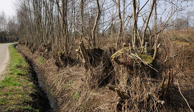 3. Visie op GBD 2.0 Financiering van collectief goed De hoofdlijn in de visie op GBD is een eerlijke verdeling van de baten en lasten voor het landschap in Overijssel.