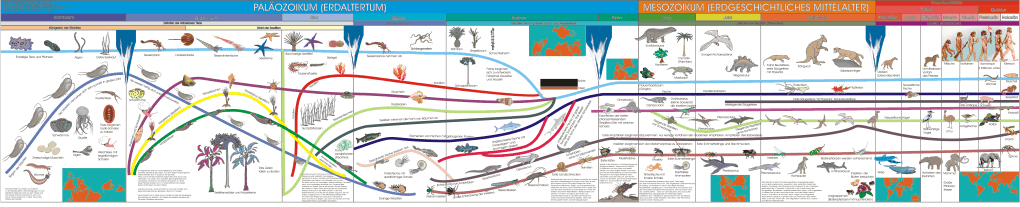 De Klok van de Tijdperken geeft een overzicht van de volgende tijdperken: Tijd der Formatie Precambrium Paleozoïcum Mesozoïcum Cenozoïcum en Neozoïcum Om de cirkelomtrek van de klok kan een touwtje