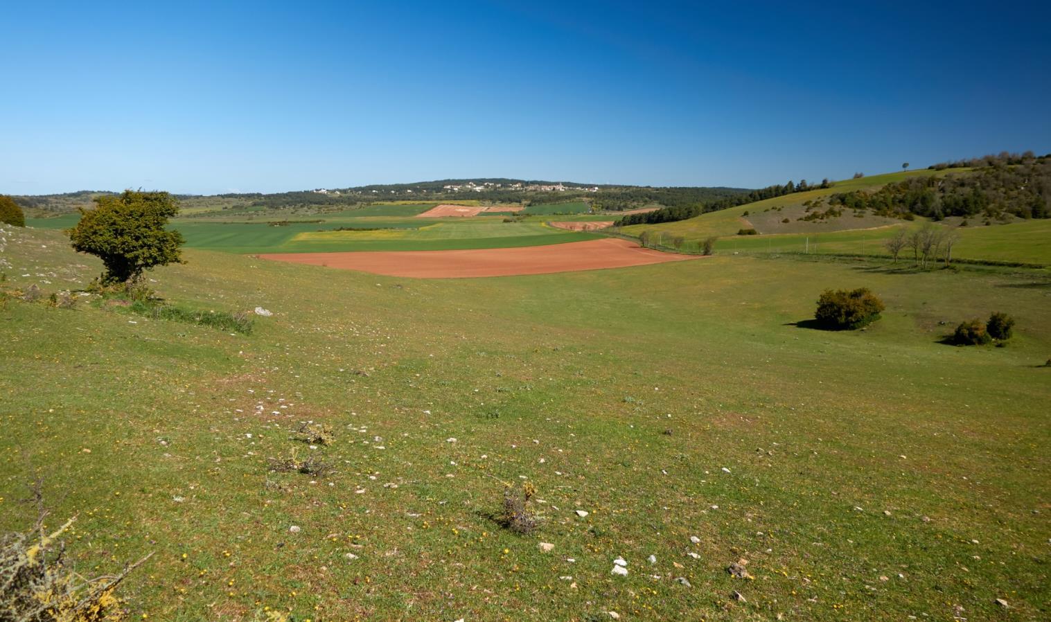 Donderdag 28 april nabij Saint André-de-Vézines - Saint-Véran - Montméjean - Roques Altes - Saint André 17 km Laagste punt: 543 m Hoogste punt: 856 m Totale stijging/daling: 610 m Weer: zonnig Het