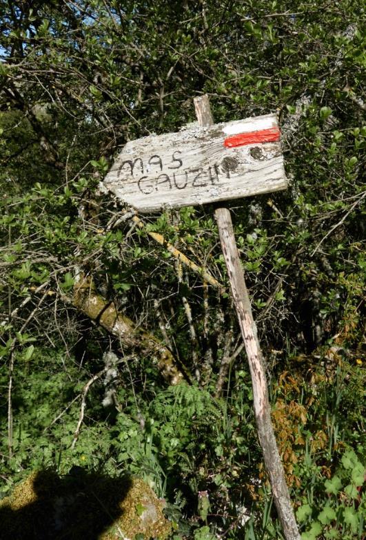 Vrijdag 29 april Homs - Mas Gauzin - Grailhe - Sauclières - Homs 9,7 km Laagste punt: 740 m Hoogste punt: 852 m Totale stijging/daling: 260 m Weer: zonnig Vandaag staat onze laatste wandeling van