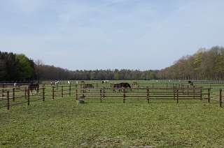 Beste allemaal, Zoals jullie wel bekend hebben wij van 29 mei t/m 1 juni ons geweldige ponykamp. We gaan naar Drenthe, naar het mooie plaatsje Schoonoord.