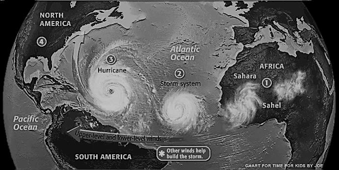 Hierdie skets wys die verskillende stadiums van ontwikkeling van n orkaan in die noordelike Atlantiese Oseaan Noord- Amerika Orkaan Atlantiese oseaan Tropiese Storm Afrika Stille Oseaan Suid- Amerika