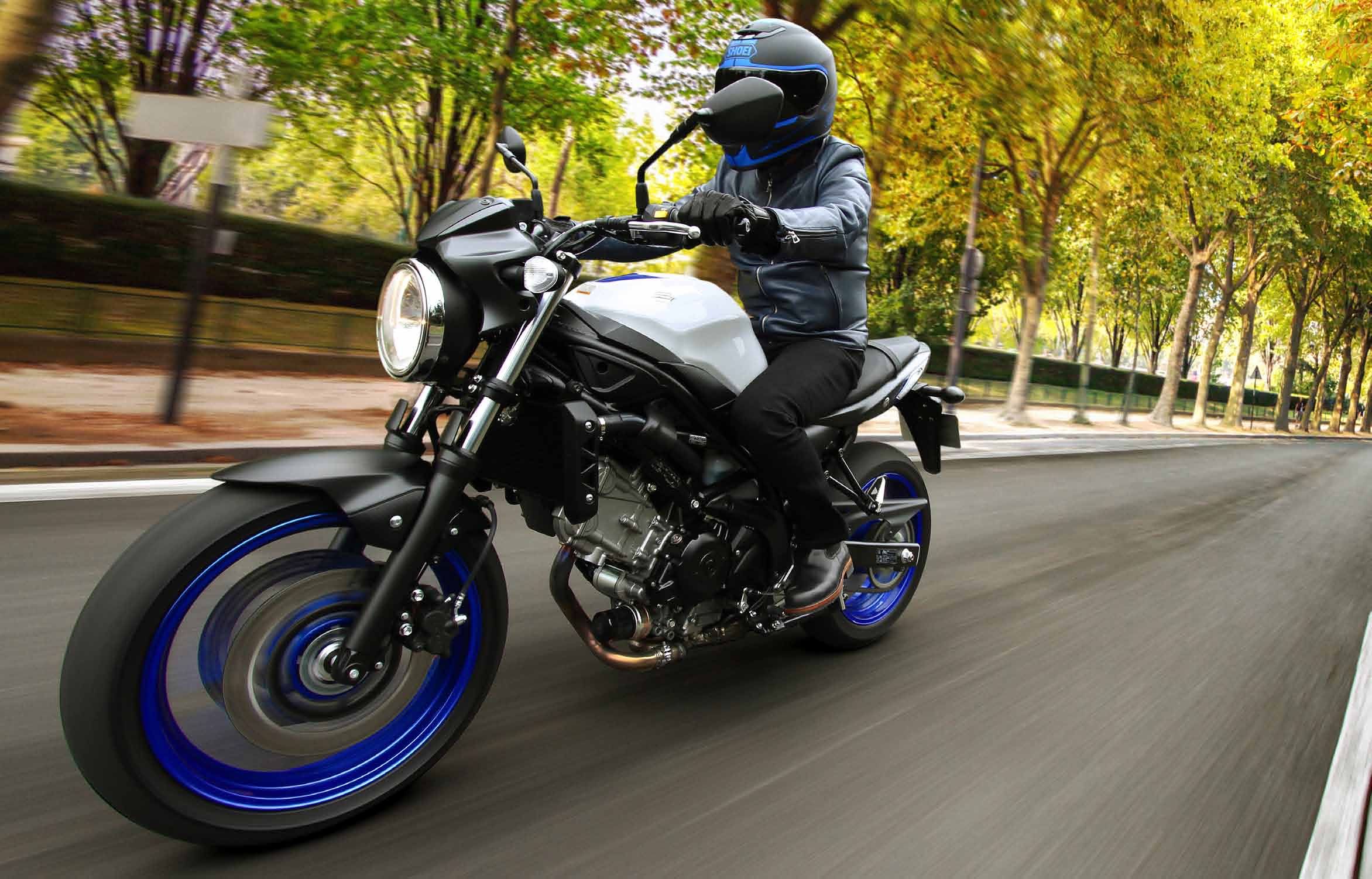 Suzuki SV650 ABS: