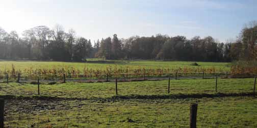 2. Context Ligging en bereikbaarheid coulissenlandschap Lonneker t Bouwhuis groene scheg Enschede