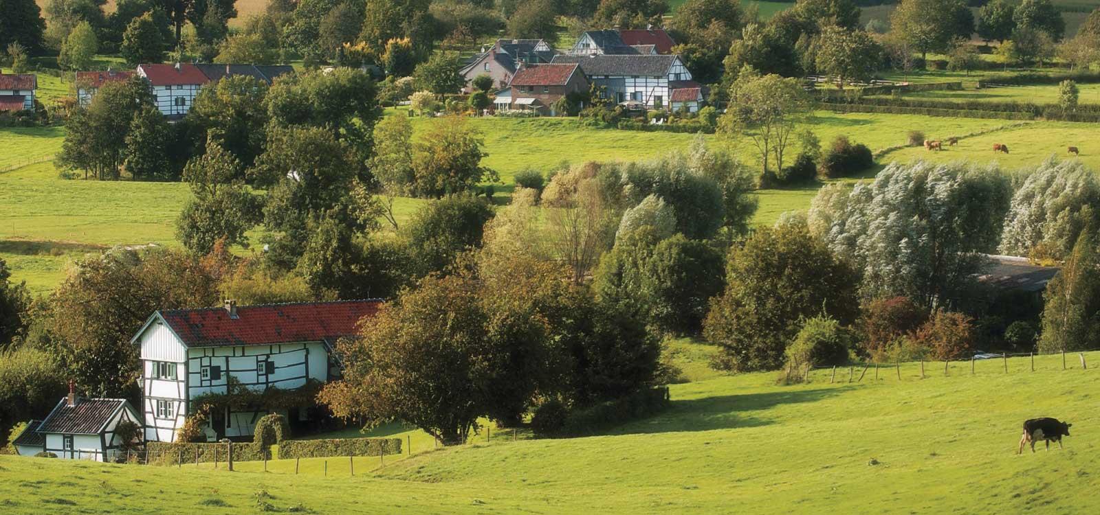 LIMBURG!