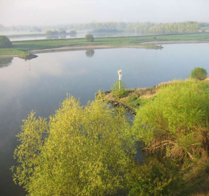 VBC Neder Rijn Plus Visplan Pannerdensch Kanaal, zuidelijke IJssel, Neder
