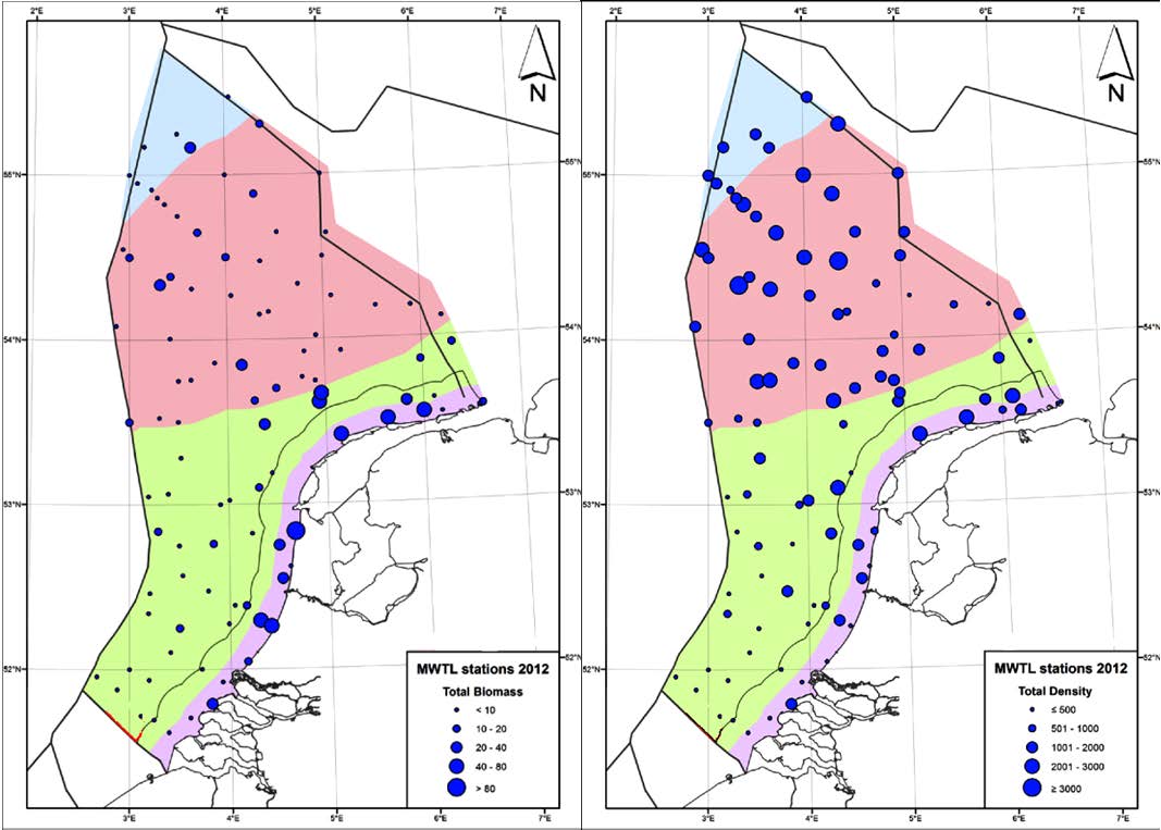 Figuur 8. Totale biomassa en dichtheid van benthos op de meetpunten van het MWTL meetnet op het NCP in 2012.