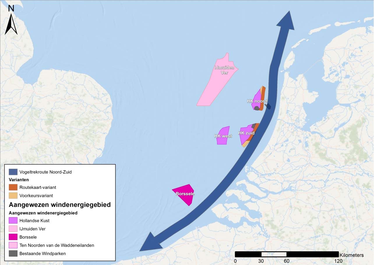 Figuur 22: Varianten ten opzichte van noord-zuidtrekroute.