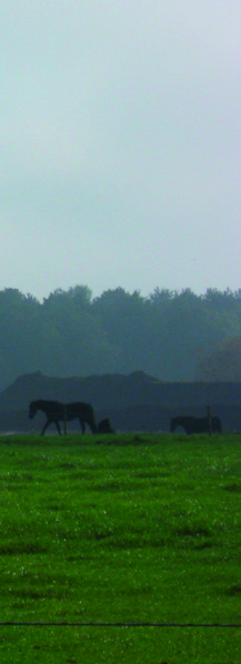 4. UITVOERINGSPROGRAMMA Het hoofddoel van het LOP Bladel is het borgen en versterken van landschappelijke kwaliteit en het bieden van een toetsingskader voor initiatieven.