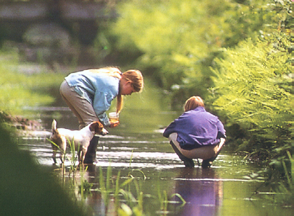 de haven; het Getijdenpark zal een