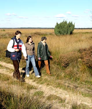 6 Planning Looptijd Het project start formeel met de ondertekening van het samenwerkingsovereenkomst door de deelnemende partijen op 15 december 2008.