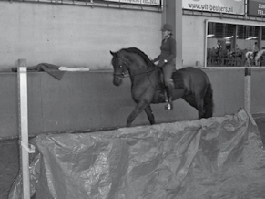 Obstakeltraining Schrikt je paard wel eens, en vind je zelf ook een hoop dingen spannend. Of ben je gewoon toe aan een nieuwe uitdaging?