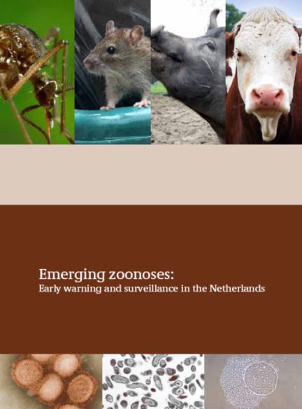 Achtergrond 2010: onderzoek naar opkomende zoönosen Veel van deze ziekteverwekkers hebben een reservoir in knaagdieren Er is onvoldoende kennis over Nederlandse knaagdierpopulaties en welke