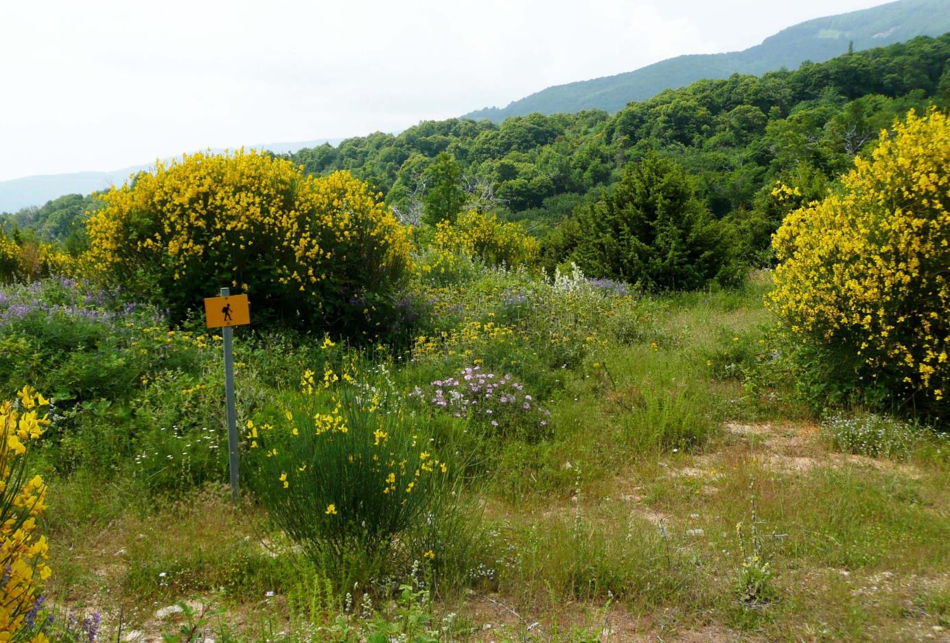 3. Rondje Aghios Georgios Nilias Een prachtige wandeling van 5,5 kilometer in een rondje boven Aghios Georgios met indrukwekkende vergezichten.