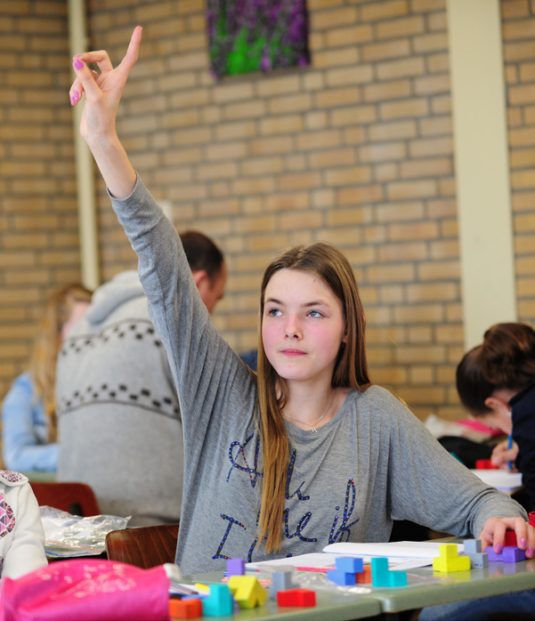 Over alle rapporten vergaderen de docenten van de desbetreffende klassen. Naast de reguliere rapportvergaderingen vinden er in de leerjaren 1, 2 en 3 tussentijdse klassenbesprekingen plaats.