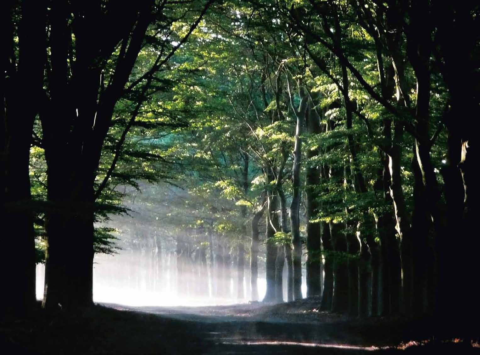 Het Apeldoornse landschap is veelzijdig en indrukwekkend.