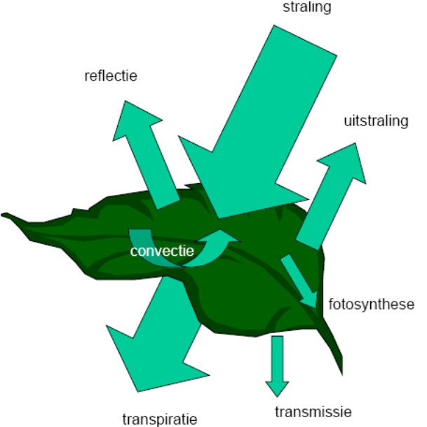 Begroenen van gebouwen 100% straling 5-20% photosynthese 5-30%