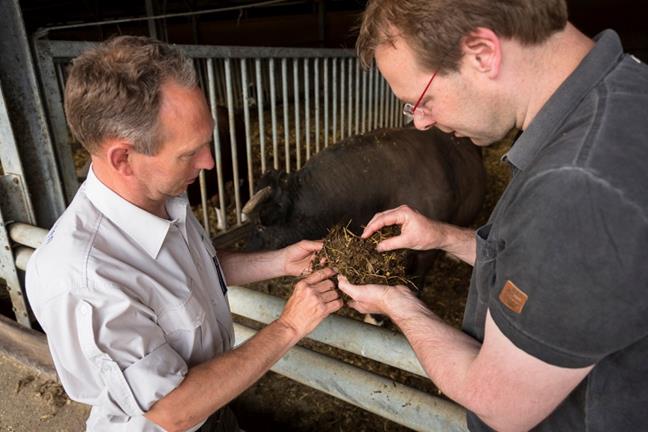 Natuurbeheer en ondernemerschap Het cursusprogramma Natuurbeheer en ondernemerschap levert vakbekwame ondernemers voor natuurbeheer.