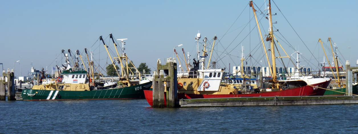 Programma 1 Dongeradeel Werkt Dongeradeel wil een gemeente zijn met: Een sterke economische positie van regiostad Dokkum; Goede vestigingsmogelijkheden ter bevordering van lokale werkgelegenheid in