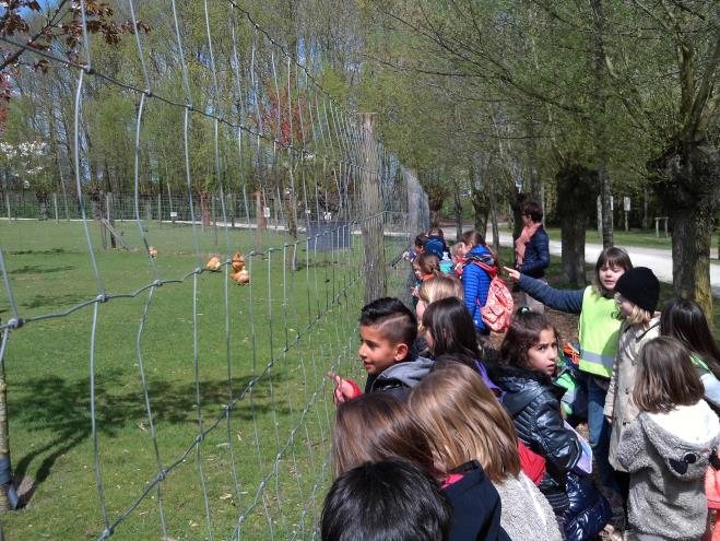 Gezelschapsspelletjes in de eerste graad. Vrijdagnamiddag organiseerden de leerkrachten een klasoverschrijdende activiteit.