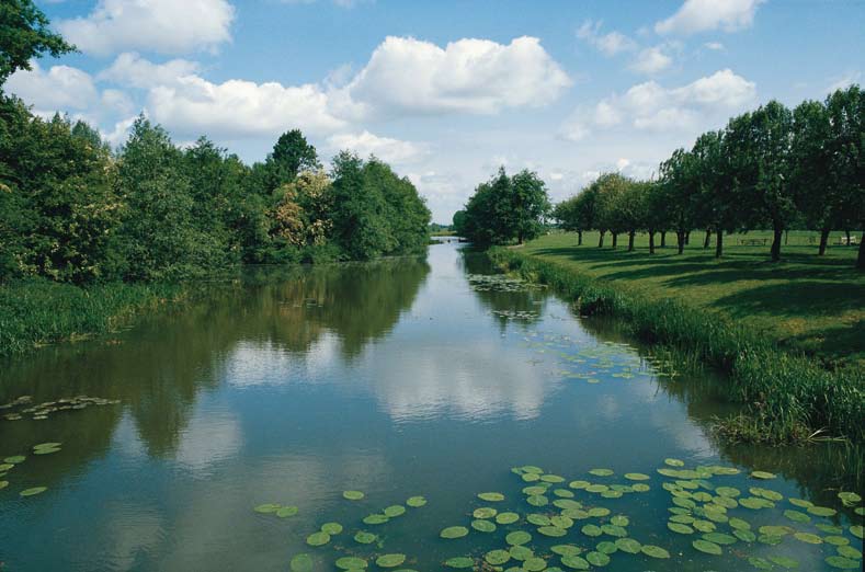 Wees zuinig op je stek Vergeet nooit dat je te gast bent in de natuur en dat we op al dat moois zuinig moeten zijn. Je zorgt er natuurlijk altijd voor dat de stek waarop je vist schoon blijft.