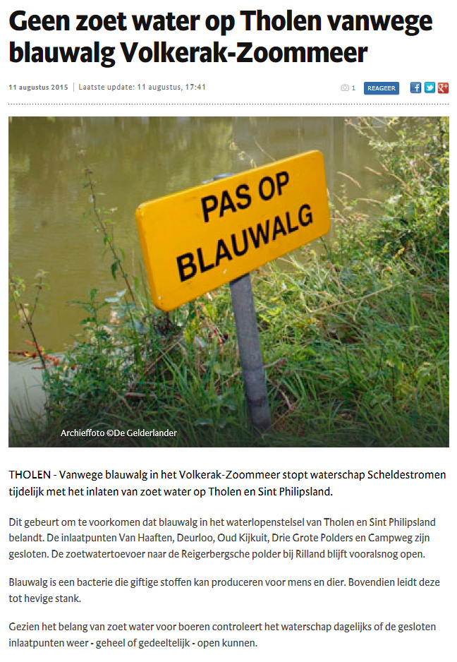 De Zeven Nieuwe Nederlanden De afgelopen jaren kamt het Volkerak-Zoommeer met een explosieve groei van blauwalg