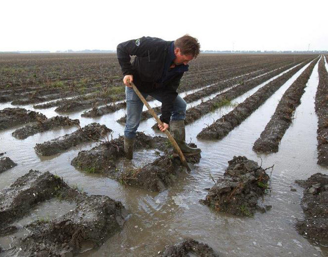 3 Meebewegen met de natuur betekent ook dat het huidige landbouwsysteem drastisch herzien moet worden. De moderne boer excellereert in het werken tegen de natuur.