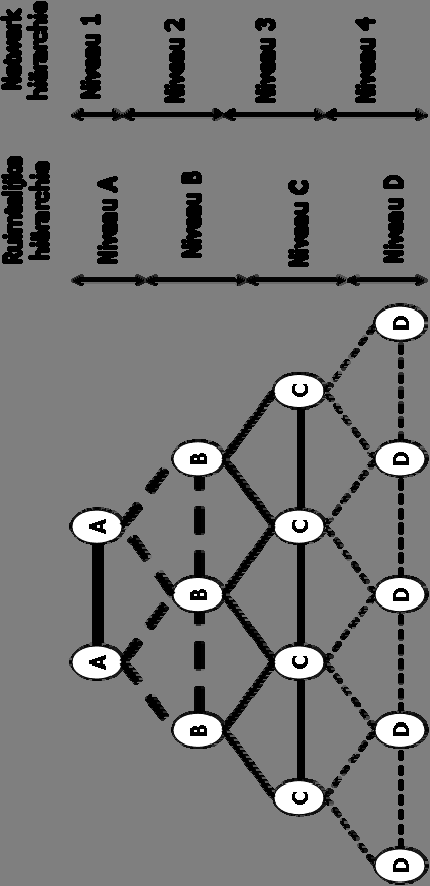Netwerken 1 Analyseer de hiërarchie en structuur van de netwerken in het