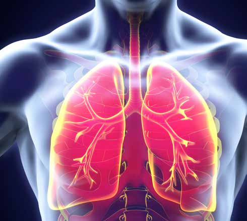 URGENTIES IN DE PNEUMOLOGIE 9 MAART 2017 Tijdens deze sessie gaan de sprekers in op een aantal acute problemen in de pneumologie, meer bepaald primaire/ secundaire pneumothorax, de indicaties en