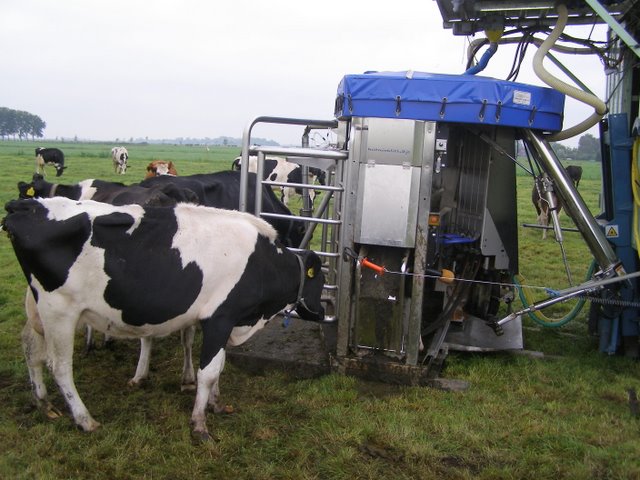 Dank voor uw aandacht Zie ook: www.lei.wur.