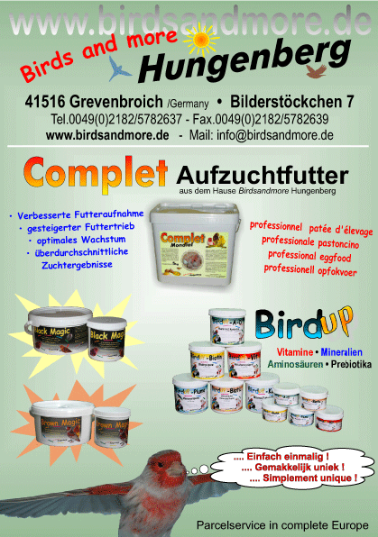 RINGENBESTELLING 2011: 1. Alle ringenbestellingen of briefwisseling omtrent de ringen dienen gericht aan Door Peters Goudvinklaan 10, 2070 Zwijndrecht Tel: 03-2524527 Fax 03-2963630 E-mail Door.