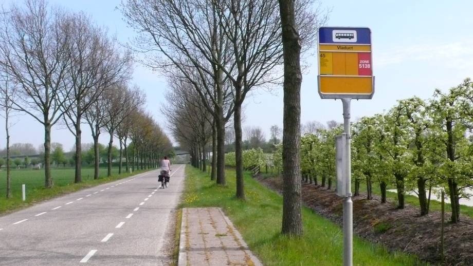 Windsingels rond de fruitteelt zorgen voor een meer beschut agrarisch gebied.