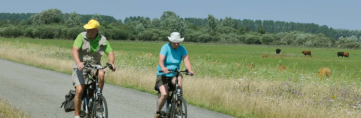 INWONERS 2 FIETSEN EN GENIETEN, EN BENOEMEN VERBETERPUNTEN Groningers fietsen veel!