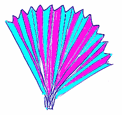 Wat heb je nodig? - Plastic emmertje of andere koker. - Mes. - Stukje doorzichtig plastic. Snij met een scherp mes de bodem uit een plastic emmertje of gebruik een blik.