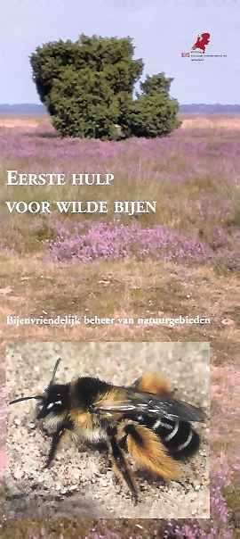 OBN-inventarisaties van bijen in Buurserzand, Kampina, Sprengenberg, Velhorst en Witte Veen 9 Figuur 3. De folder 'Eerste hulp voor wilde bijen'.