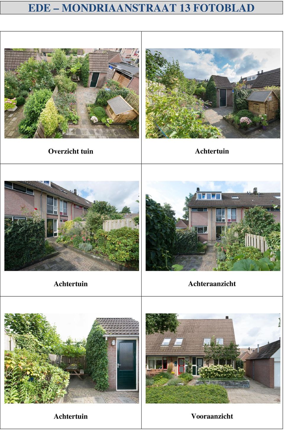 Achtertuin Achtertuin