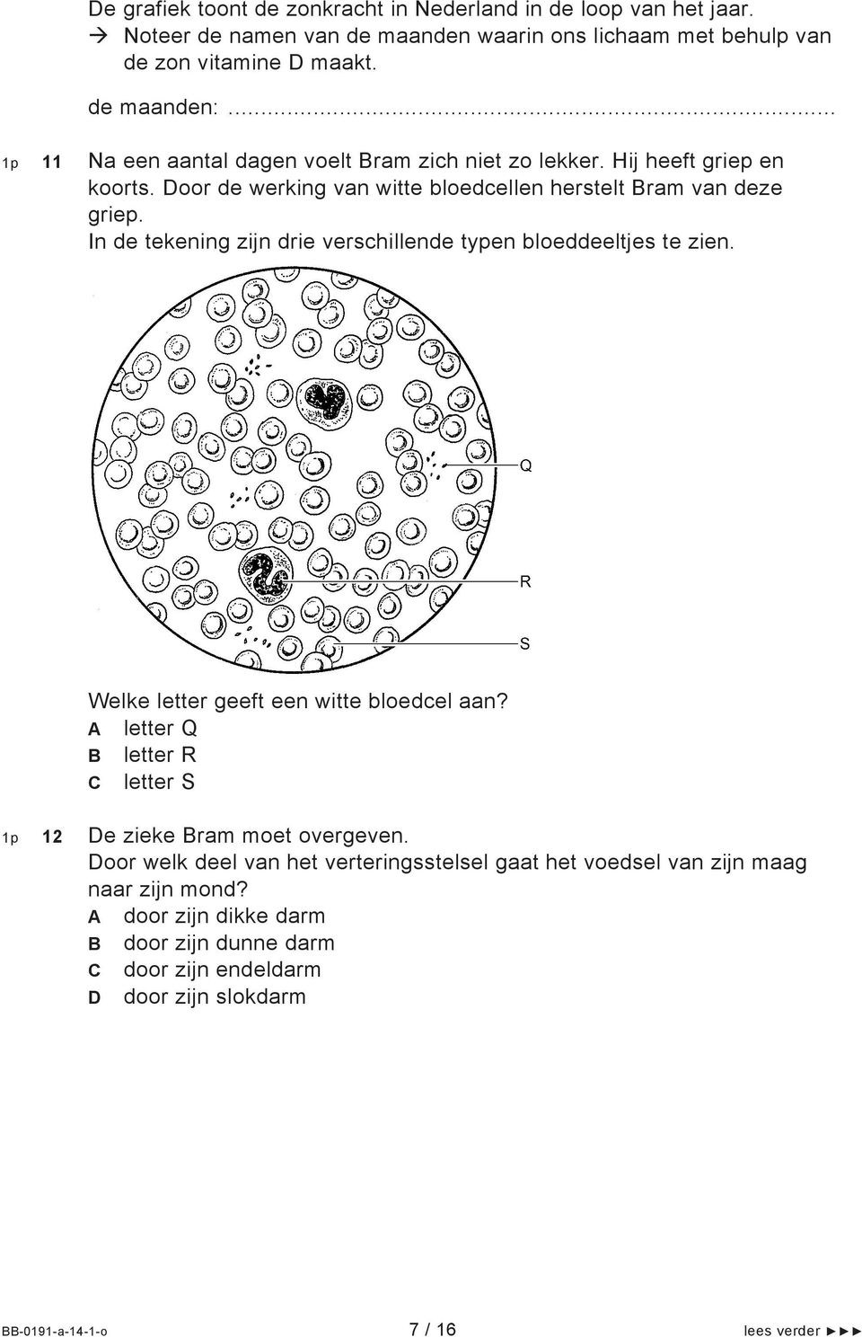 In de tekening zijn drie verschillende typen bloeddeeltjes te zien. Welke letter geeft een witte bloedcel aan? A letter Q B letter R C letter S 1p 12 De zieke Bram moet overgeven.