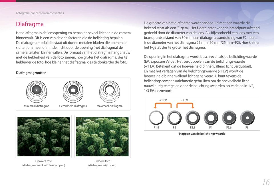 De formaat van het diafragma hangt nauw met de helderheid van de foto samen: hoe groter het diafragma, des te helderder de foto; hoe kleiner het diafragma, des te donkerder de foto.