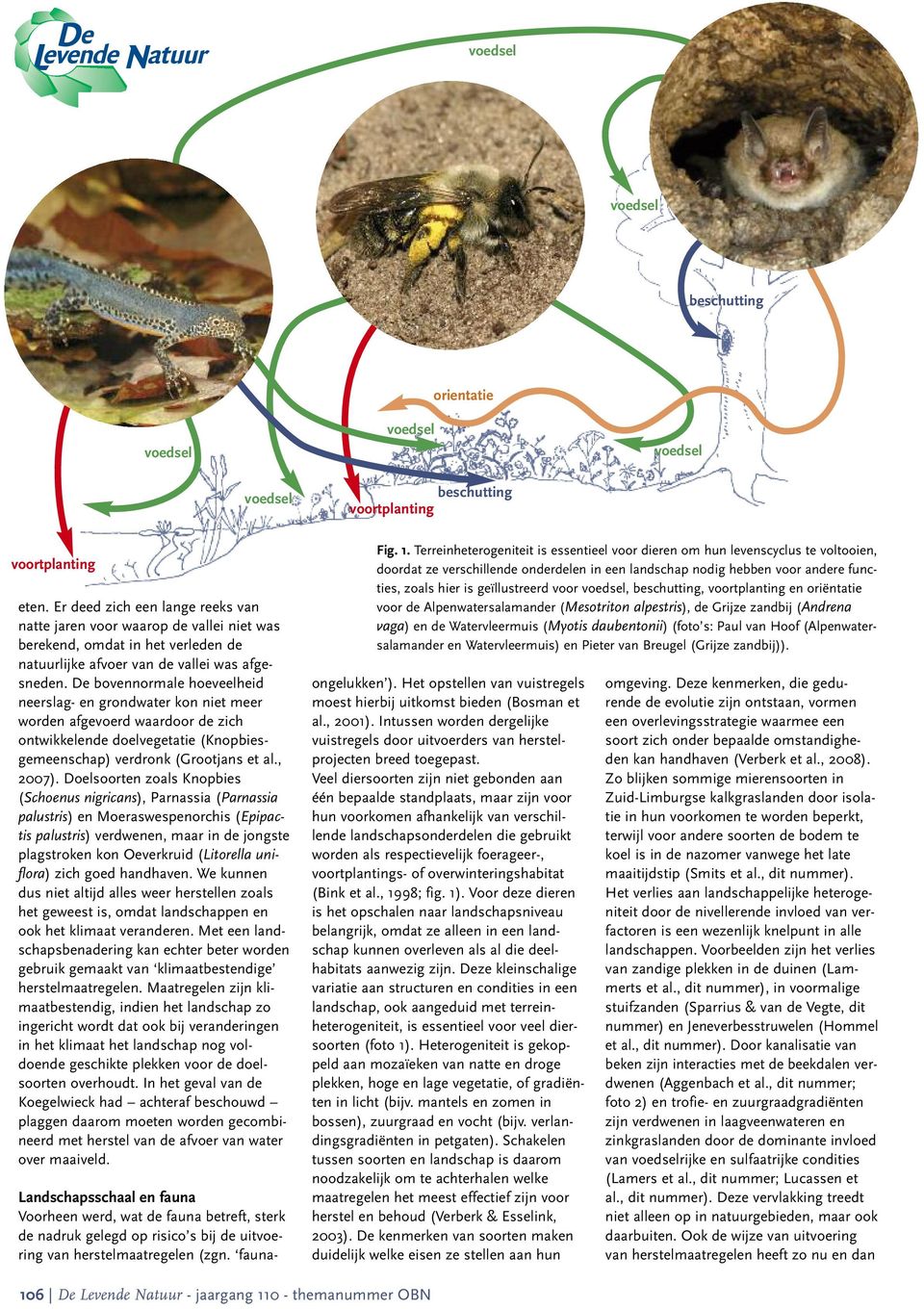 De bovennormale hoeveelheid neerslag- en grondwater kon niet meer worden afgevoerd waardoor de zich ontwikkelende doelvegetatie (Knopbiesgemeenschap) verdronk (Grootjans et al., 2007).